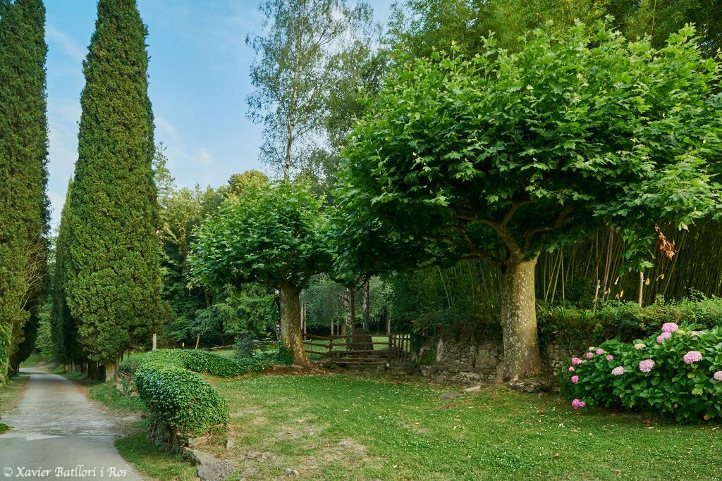 Apartamentos Fonda Finet Sant Feliu de Pallerols Exterior foto